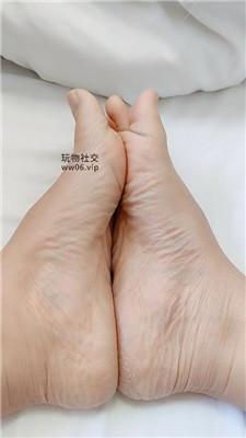 霸王花红绿灯 (2).JPG