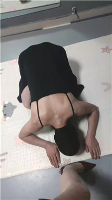 【东营天香百合】2626