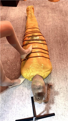 紫墨2 3725