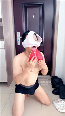 小丸子2137