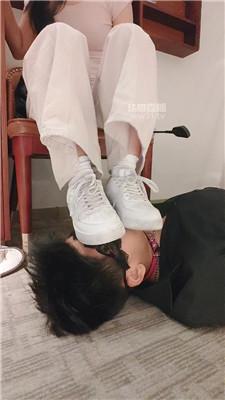 静琪4916