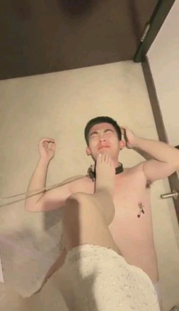 诺曦S开发素人成功