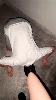 狗哥2 4052