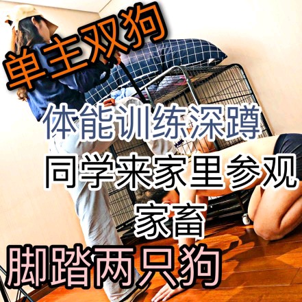 菜小心S同学来参观家奴