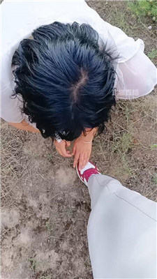 西北傻子10229
