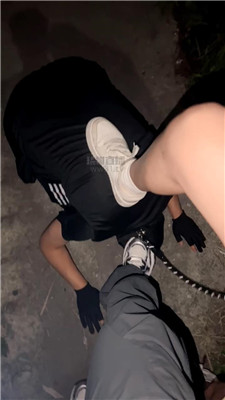 伊伊6219