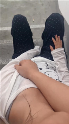 wh训犬师S 3742