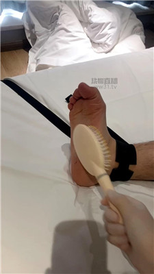 林可9547