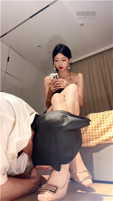 浹佳12 5504