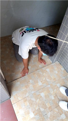 婷婷大人3904