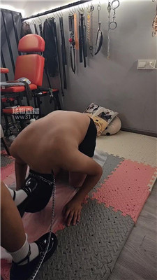 艾斯琪3841
